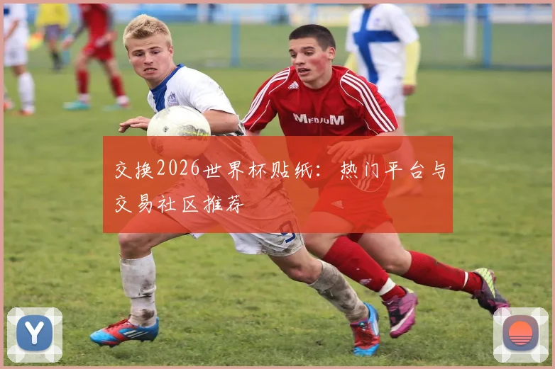 交换2026世界杯贴纸：热门平台与交易社区推荐