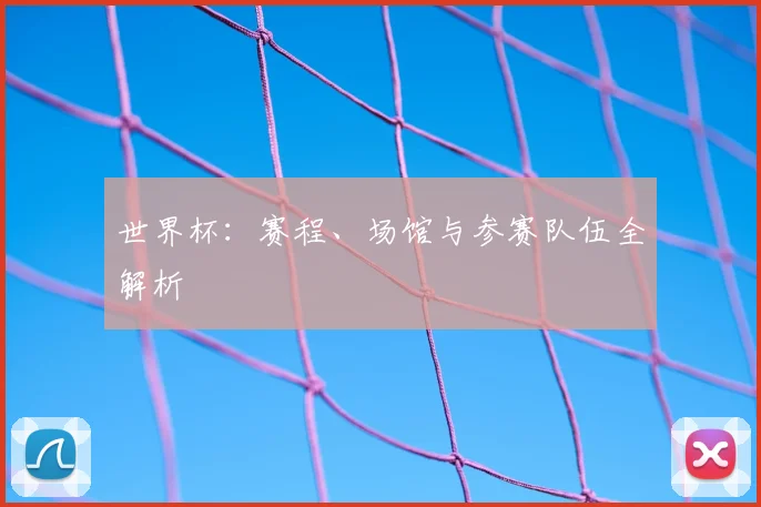 世界杯：赛程、场馆与参赛队伍全解析